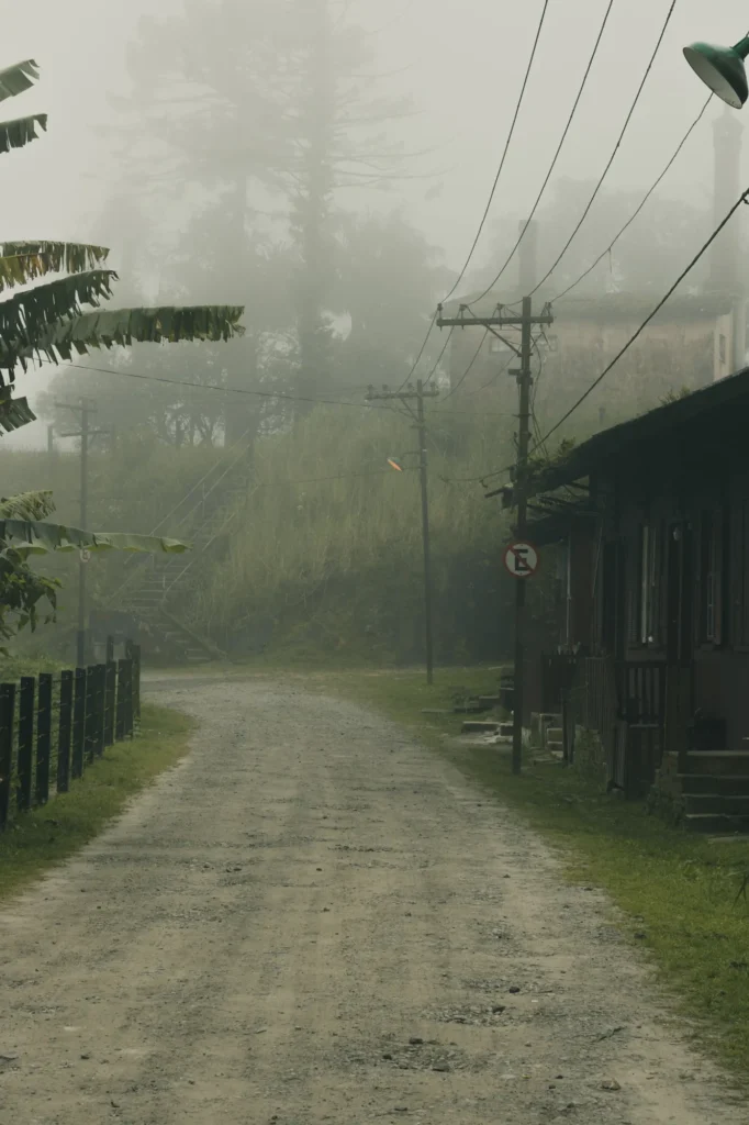 Nebel über einer Straße im Hochland von Boquete