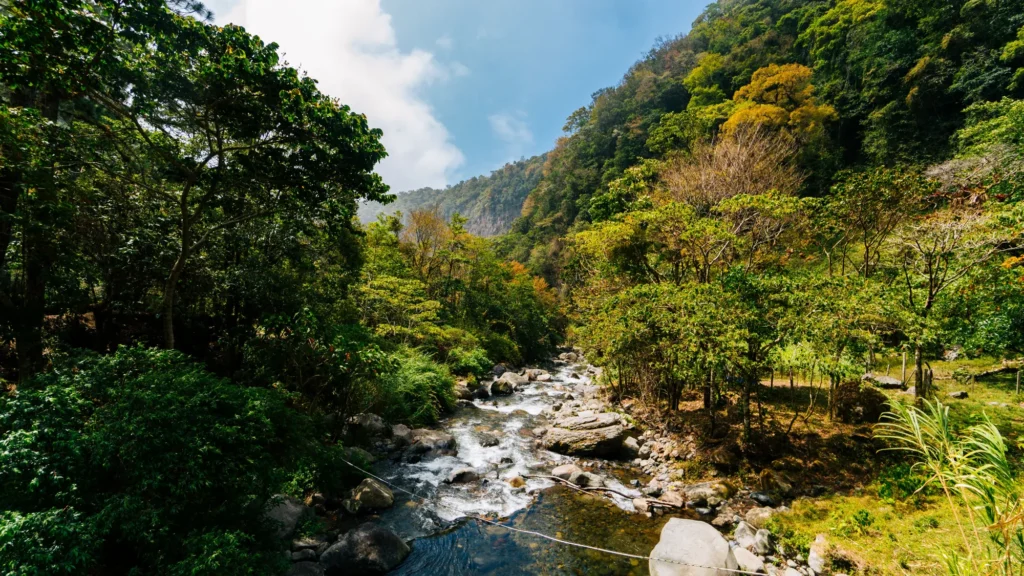 Wandern in Boquete
