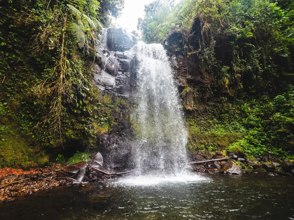 Lost Waterfalls