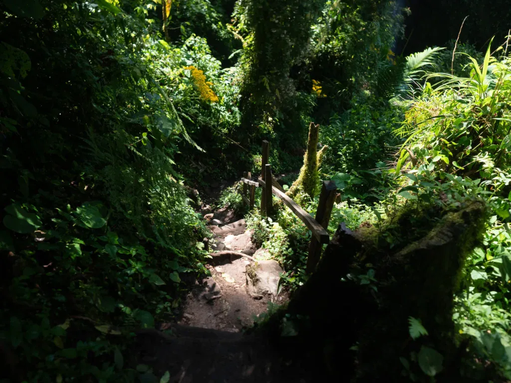 Lost Waterfalls
