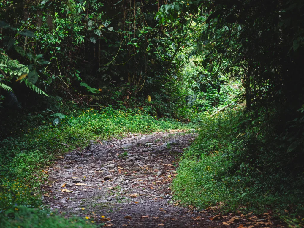 Pipeline Trail